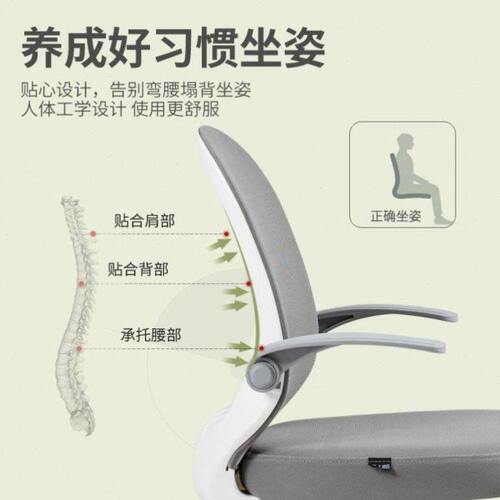家用小户型d电脑椅办公转椅学生学习职员椅书房书桌椅升降椅儿童