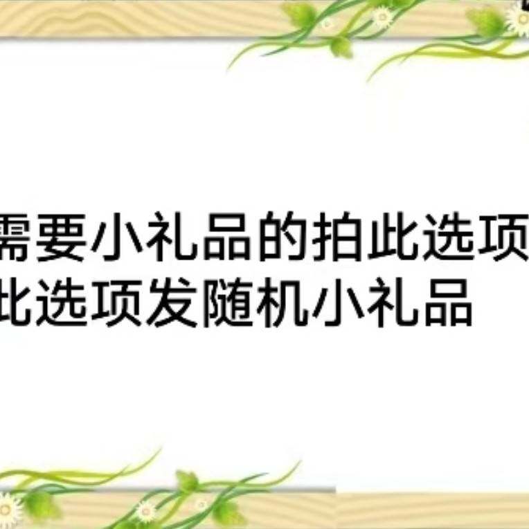 法式复古全身镜落地镜家用设计师异形穿衣镜感网红试衣大镜子包邮