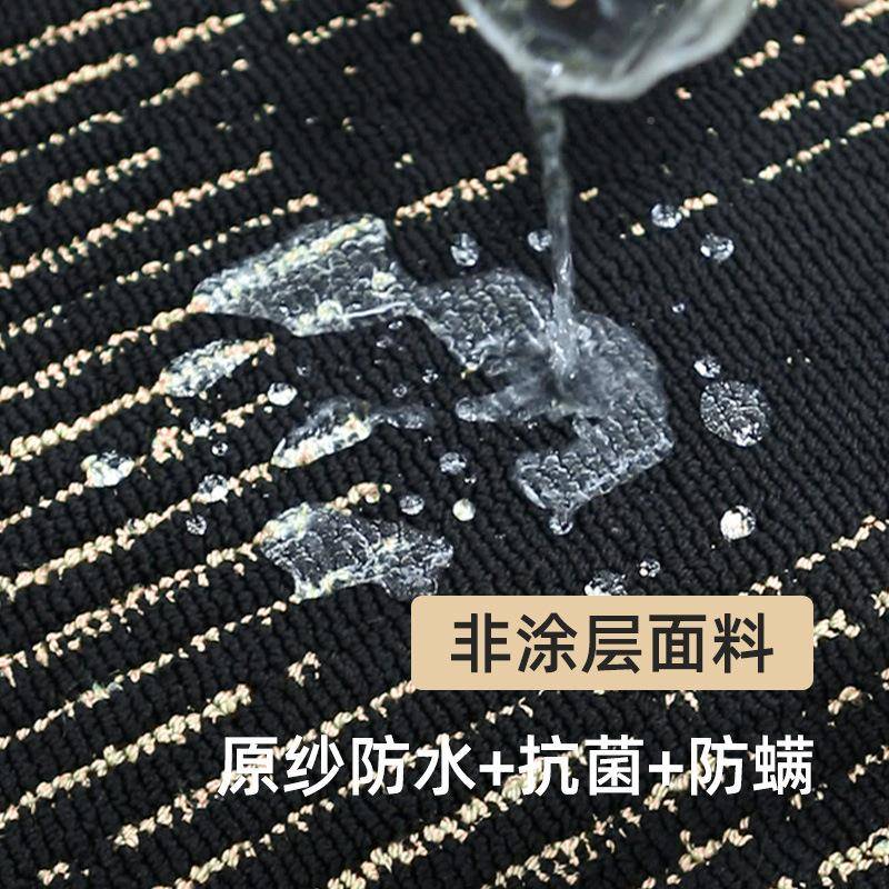 客厅轻奢地毯【墨列】防水防污双色发硅藻2323丝系卧金室沙地垫免