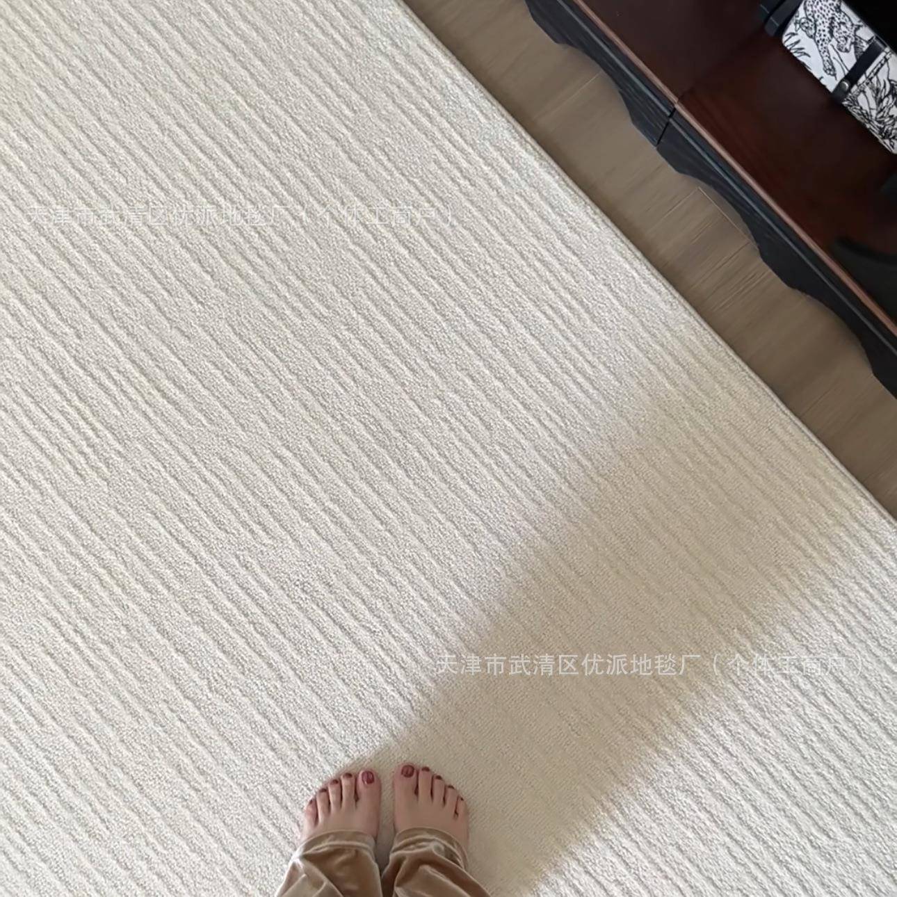 白月光厅”本宅防“水抗污纯45237857色简约家居客地毯免理纯白色