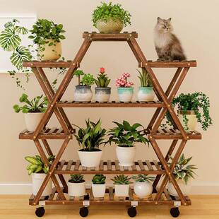 实木多肉花架多层置物架包邮见详情萝台室包内落地式客厅阳绿花盆