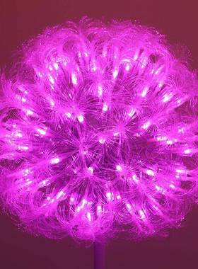 跨境JAP热蒲公英灯户外亮化插地饰草装坪灯销广场观花园庭院景圆