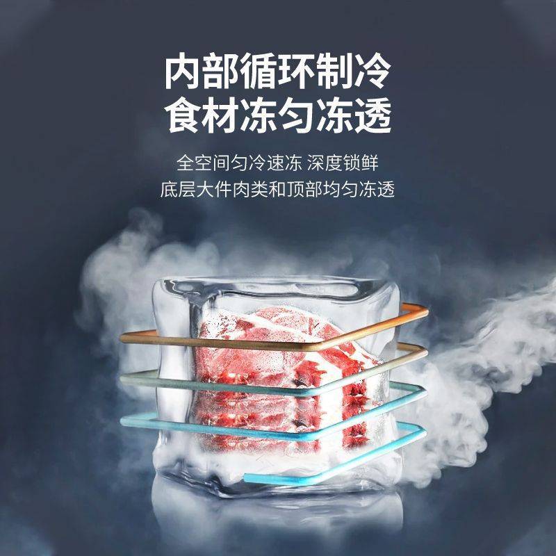 小鸭牌冰柜家用小型冷藏冷冻两用大容量冰箱车载宿舍出租屋小冰柜