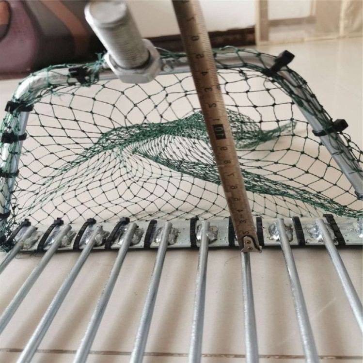 赶海抓花蛤扒网带网耙子捞贝壳搭水草工具挖蛤蜊田螺
