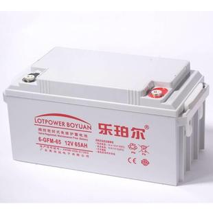 乐珀尔蓄电池6 6512V65AH发电厂用船舶发电船舶照明 GFM