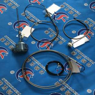 425带引线式 WZPK2 铠装 198 476SA 热电阻WZPK2 WZPK