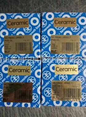 德国SLF主轴伺服电机6307THB.P636307.2VSR.R40.48.L1035T轴承