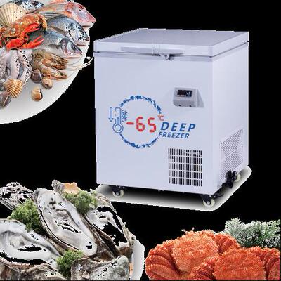 42冰0升零柜下鲜65度超低温冷速冻深海APB柜深冷家用箱冰柜
