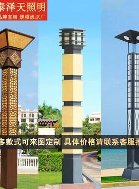 家非标广景景观灯L厂ED特色观路灯公园异型户外场草坪造型TZT-DBD