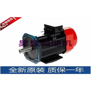 主轴伺服电机DSM E2F1B095三相异步伺服电动门马达 38C1D5K