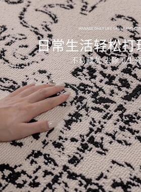 地2毯客厅法式浪漫200105新款房间室沙发茶防水防污免几洗可擦地