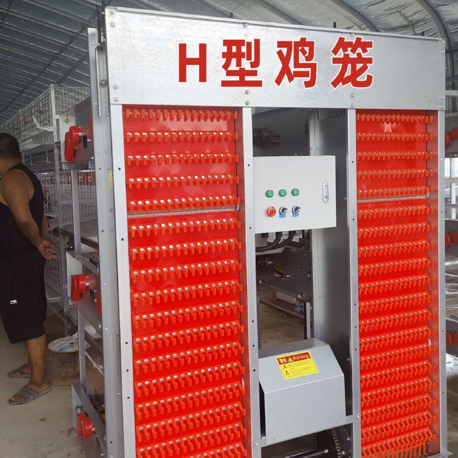 肉蛋鸡笼生产厂家养鸡设备阶梯式蛋鸡笼鸡笼家用全自动养鸡设备