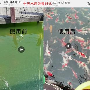 转水鼓微滤机鱼池自反冲洗循殖环鱼便分离过滤器动产养微IVU滤机