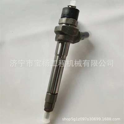 0433172351共轨喷油器0445110821 0433172572喷油嘴总成
