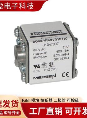 法国熔断器FR1GC69V40FR22GR69V80FR2FR14GC692GGR694V1001FR22R6