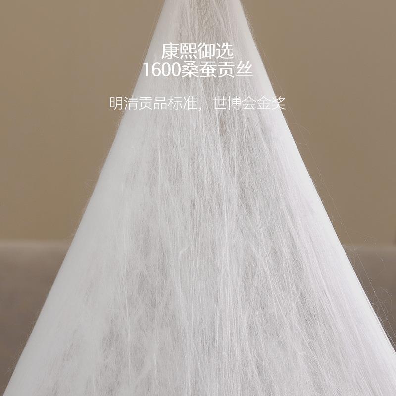 纯手工二合一链拉宫款60拉链蚕丝被10双桑蚕丝长丝被0子子母被春