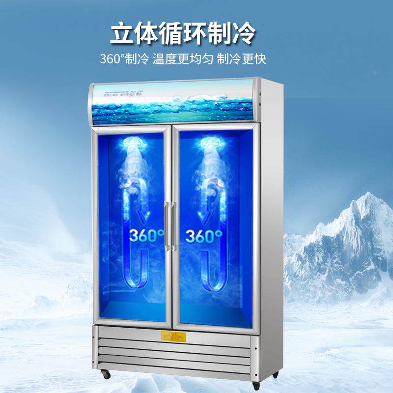 小型商用保鲜柜976饭店蛋糕柜冷饮酒啤柜三门展单门双门立式冷藏