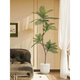 植花楹Yyc8HDjT室内客厅装绿饰花地仿生蓝假植物落盆栽树