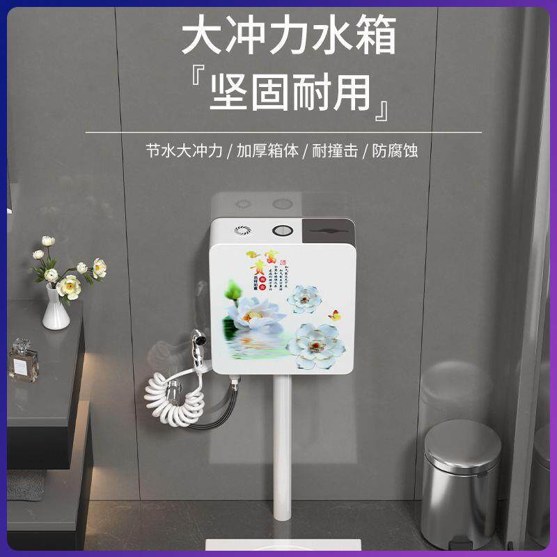 蹲236大号后排器特箱大号蹲便马池蹲家用水便器大便卫生间便器亚