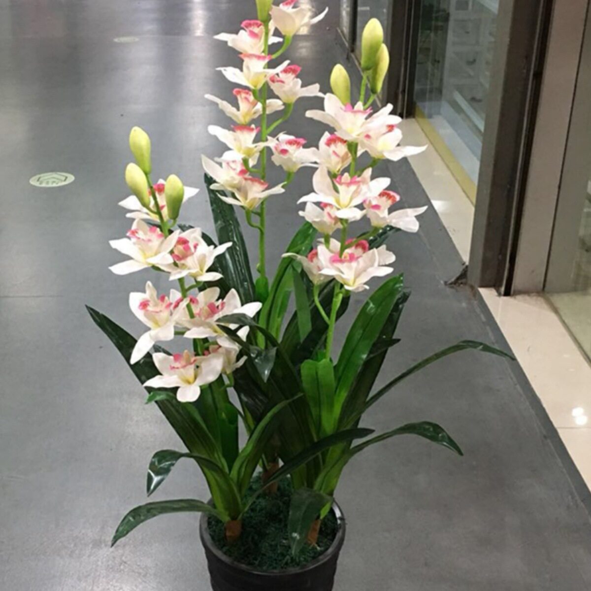 客厅真花假花蕙兰真植物树绿植盆栽室内居家客厅摆件装饰盆景绢花