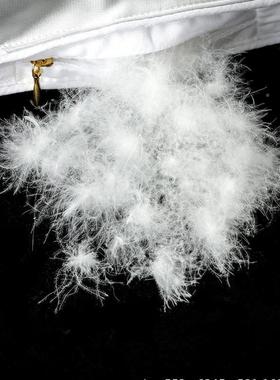 9己5白鹅绒子被羽绒被填芯静音酒店yrb45482冬被羽绒贝壳自充加厚