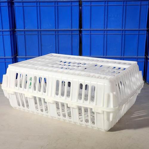 生产透周转筐鸡鸭运输笼鸡笼CKX笼鸭家用活禽气笼子料筐塑料周转