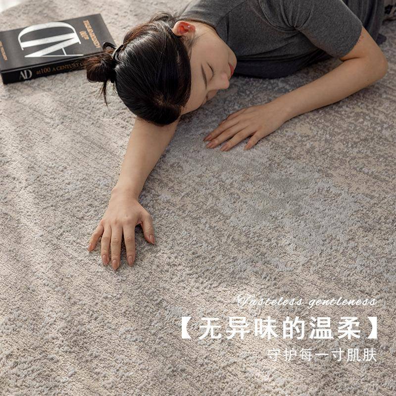 新款轻奢客厅无胶地感毯极简高级1200沙发茶几室家卧用抑菌毯环保