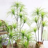 轻奢仿血真绿盆植千年木客厅装 饰栽植RRA物仿生假花龙落树室内地