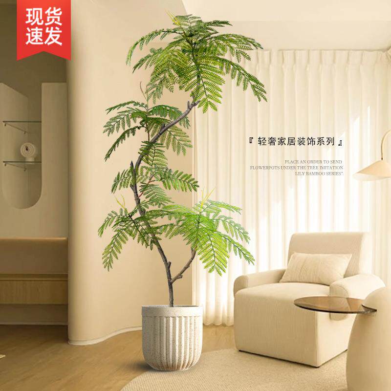 新品客厅大型落地摆件电视柜旁边装饰品室内假植物盆栽蓝花楹