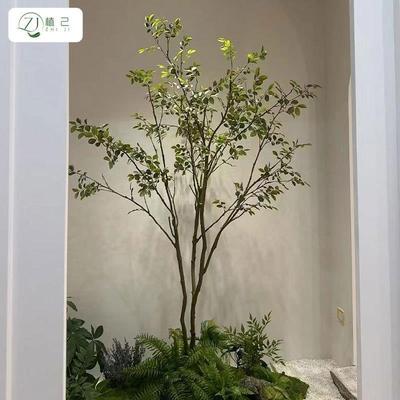仿真绿内植十大功劳岛春花栀子树植物景海家居zj851320室橱窗造装