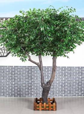 仿真榕树仿真大10植物饰大厅实装木树仿绿榕树植物室型内真花假树