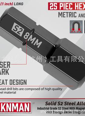 钢25件套内六角钻支头组，S2制，25mm,带有60m磁性SMBm钻头架加长