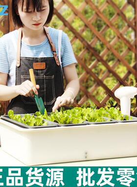 厂家阳台种菜神器动吸水塑自料花盆庭院种菜SC03水培盆蔬菜种植加