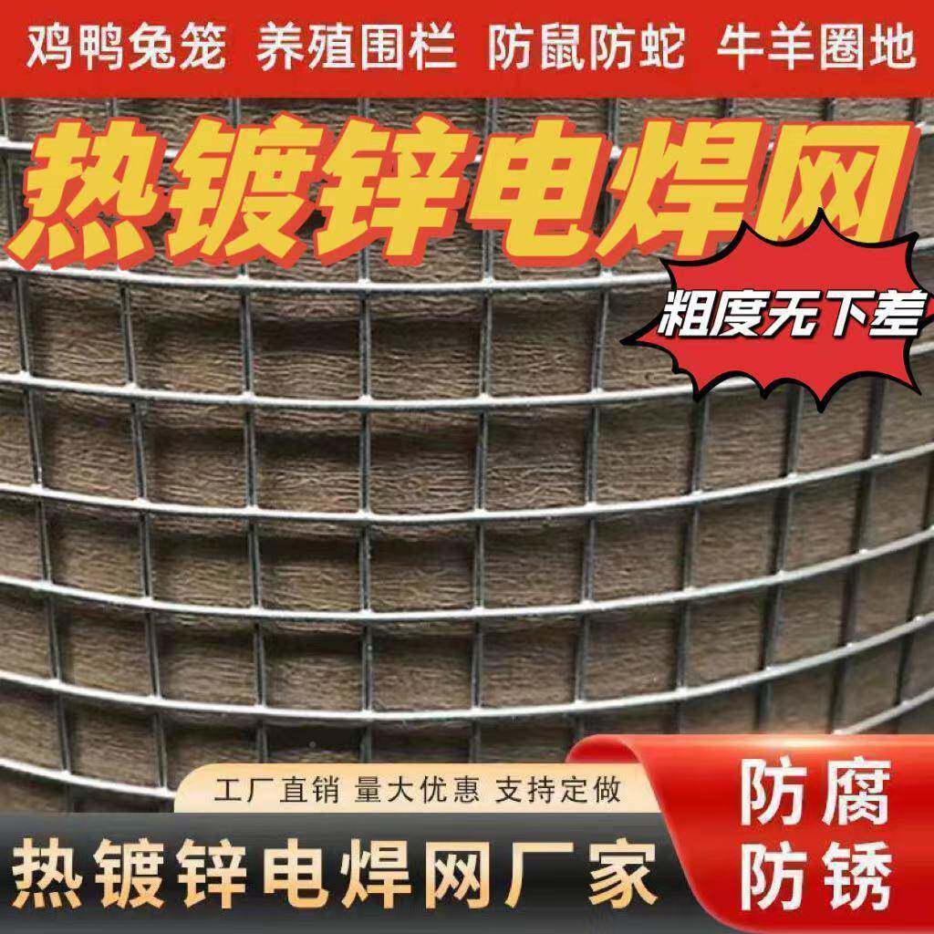 热镀锌铁丝网果园围栏养殖丝网DBU鸡铁网建筑钢防护网网格网玉米