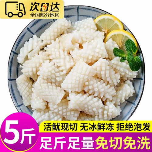 新鲜冷冻鱿鱼花5斤整箱商用批发