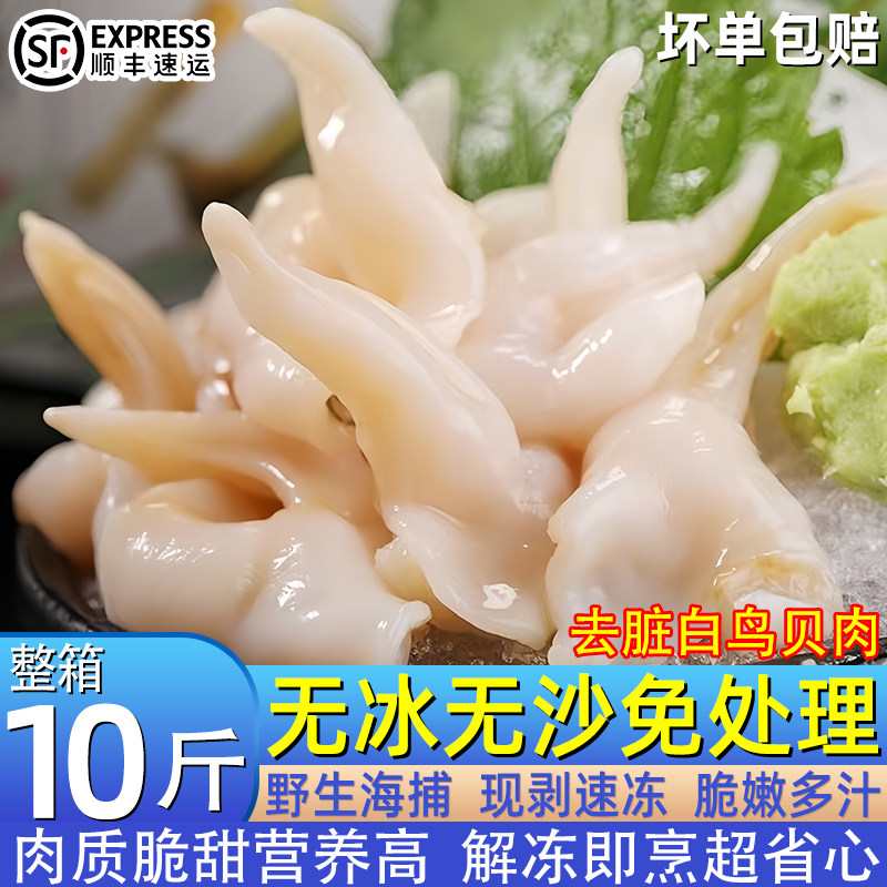 白鸟贝肉新鲜冷冻特大号黄鸟贝肉去脏无冰无沙批发海鲜捞汁顺丰