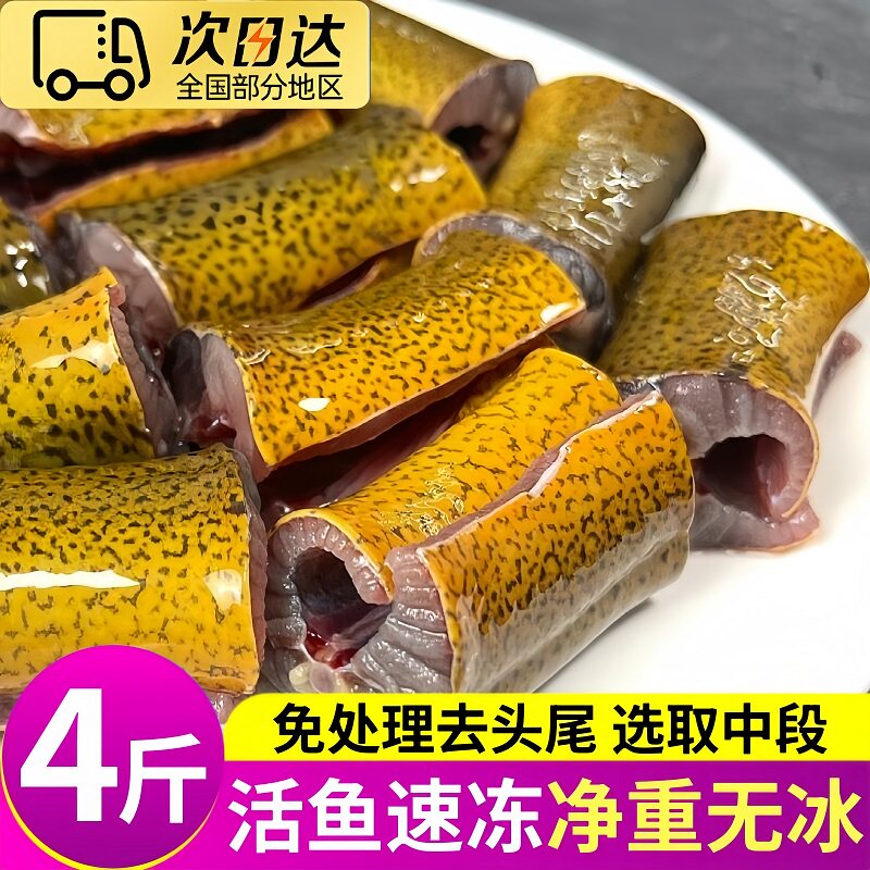 大海十三冷冻现杀去头内脏黄鳝段