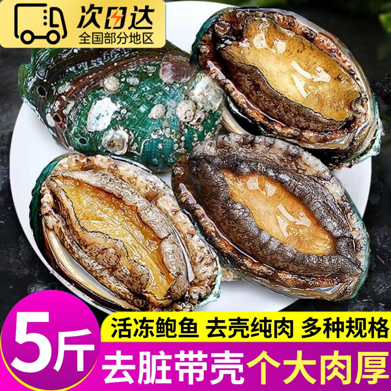 万人抢!冷冻鲍鱼火锅食材批发