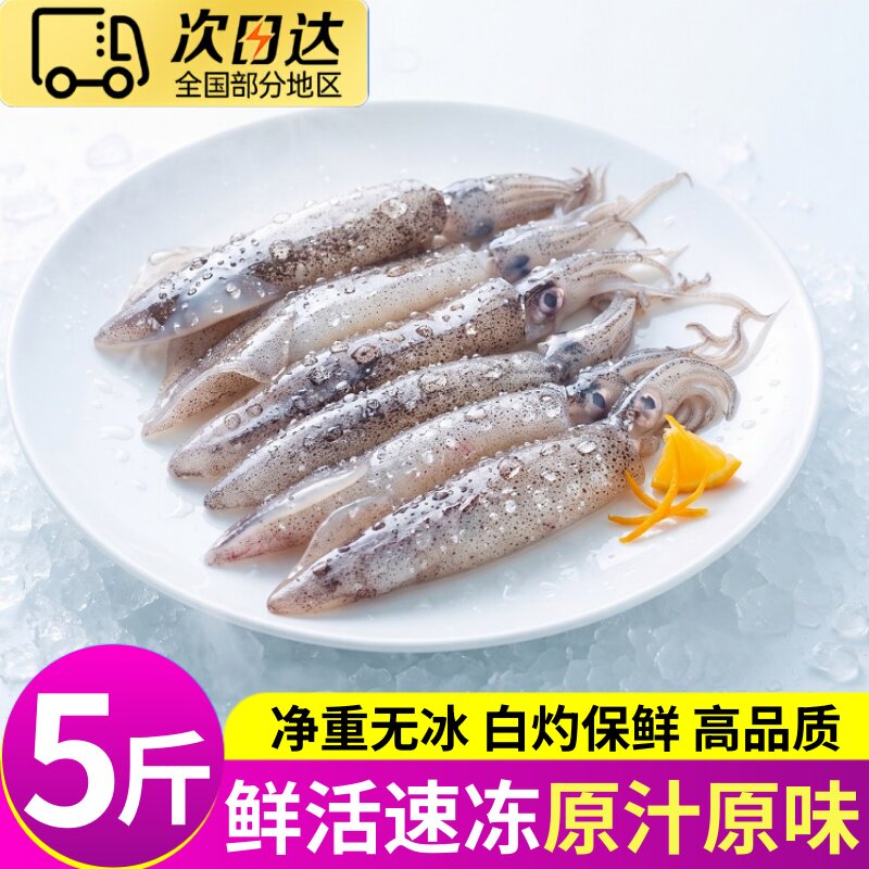 新鲜冷冻鱿鱼小管大笔管鱼商用