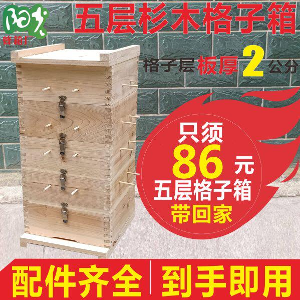 格子箱中蜂蜂箱散装全套杉木土养蜜蜂工具诱蜂桶五层方格子蜂箱