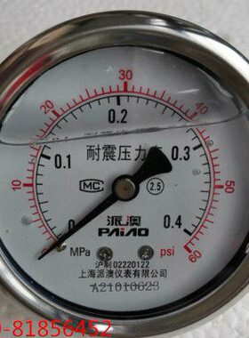 派澳 轴向耐震无边压力表YN-60Z 0.4MPA  YN-60Z 6MPA 1 40YTN60Z