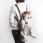 blueport宠物胸前双肩背包解放双手雪纳瑞泰迪外出便携背狗宠物包