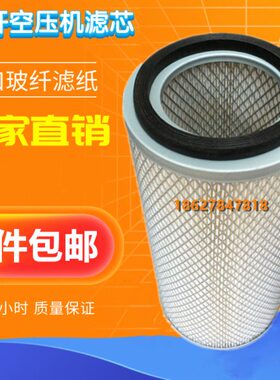 寿力LS10-25/30空压机保养配件空气过滤器02250131-496空滤043334