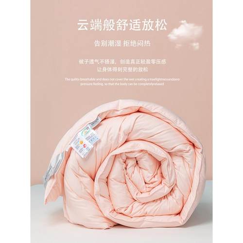 冬季羽绒被95白鹅绒被子冬被冬天单双人春秋被加厚保暖结婚棉新品