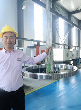 交叉滚子轴承RB11020 RB12016RB12025薄壁交叉滚子轴承机器人轴承