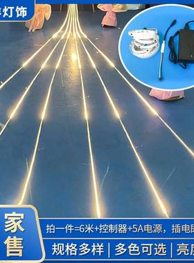 红色流水灯带5低v压12V马24V招牌广告跑灯星LE单色灯带D灯条当流