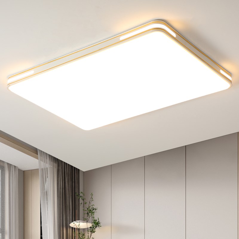 家用客厅b大灯吸顶灯饰大厅主卧室现代简约大气2025新款中山灯具