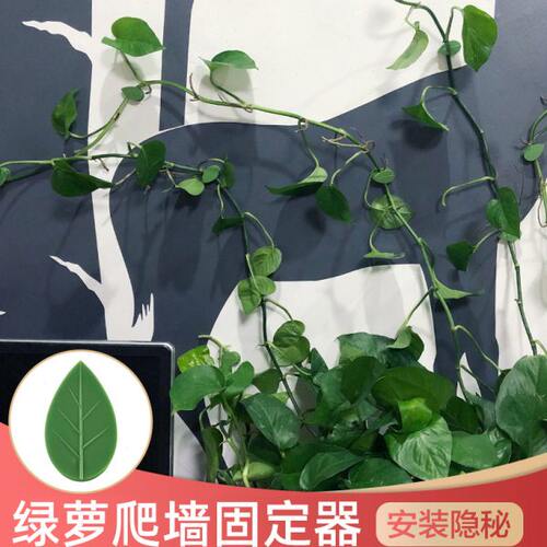 绿萝枝条爬藤固定器墙上绿植花藤夹长藤的夹子藤蔓爬墙卡子扣神器