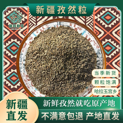 新疆哈拉玉宫孜然颗粒户外烧烤