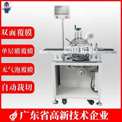 DS-FMJ-006双面自动平面覆膜机双面无气泡平面覆膜机